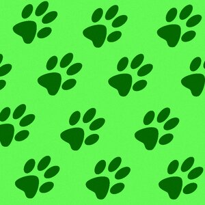 Paw prints cat paws green background