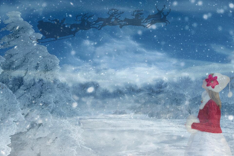 Reindeer sleigh snow snow landscape