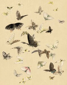 Japanese art watercolour
