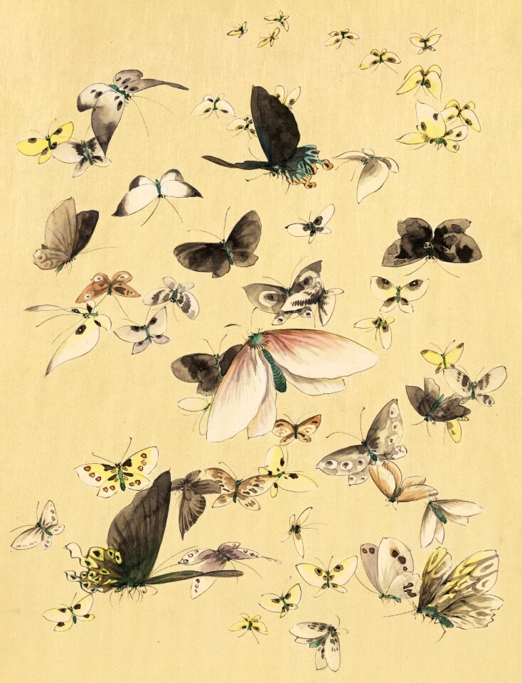 Japanese art watercolour
