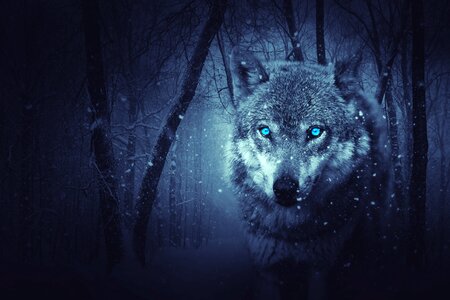 Background mystical snow
