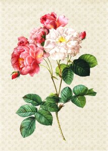 Vintage flower floral