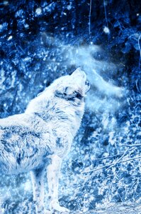 Snow art vintage