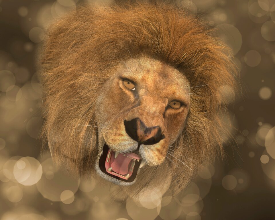 Lion head figure males