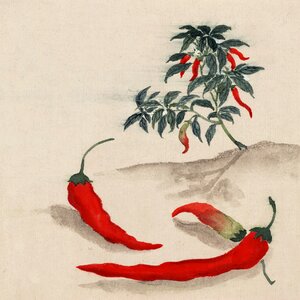 Painting vintage japanese