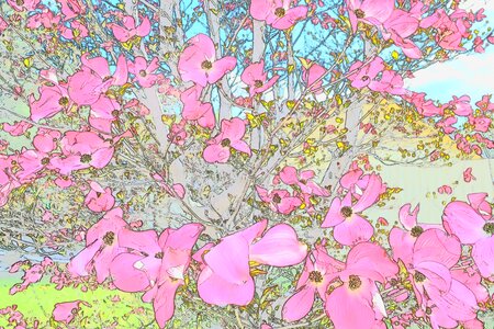 Design texture pink