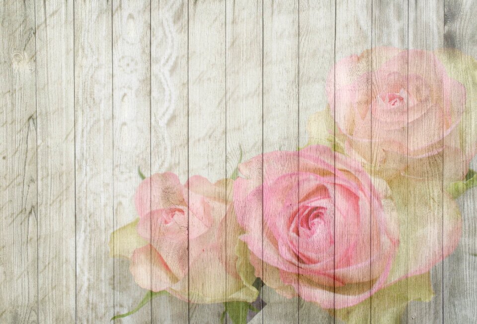 Pink romantic wood