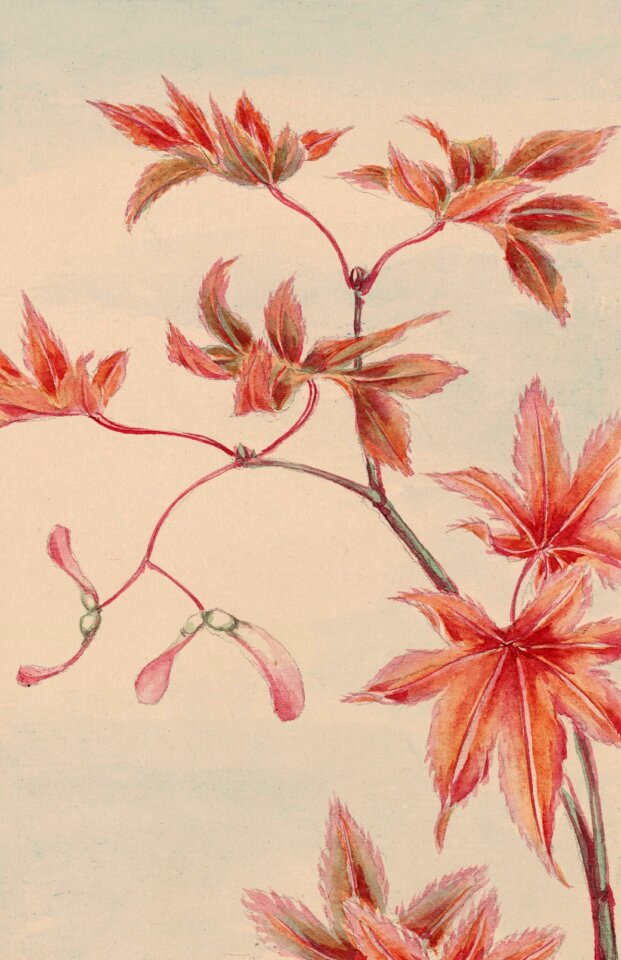 Painting vintage japanese