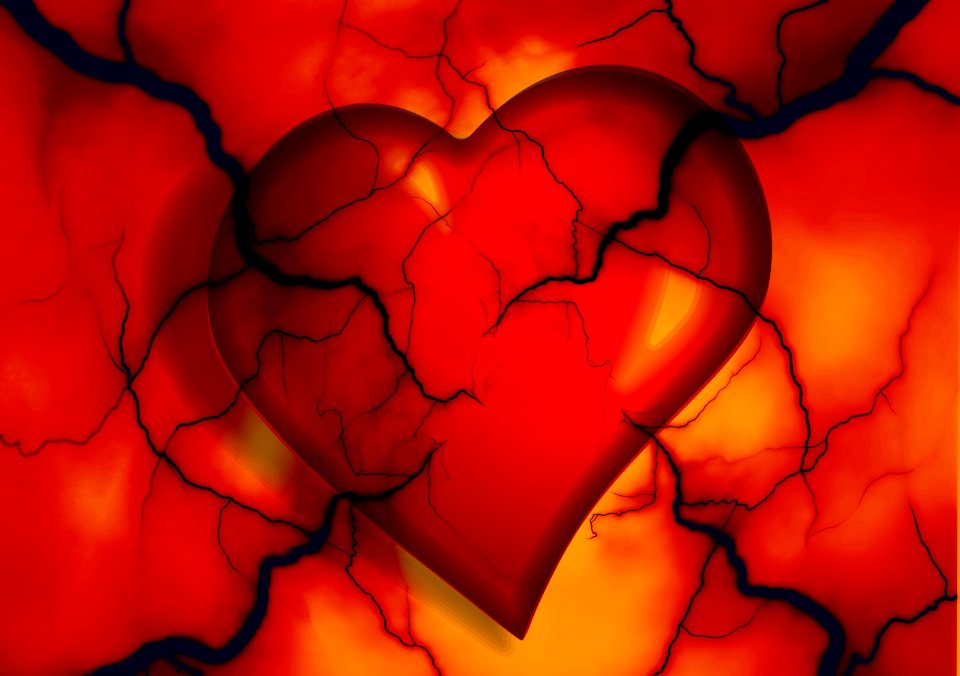 Disease heartbeat blood pressure