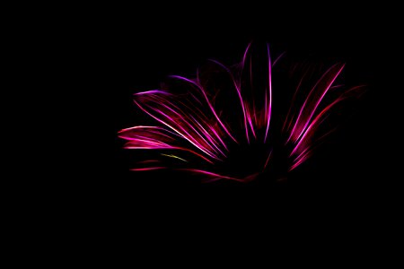 Background graphic form