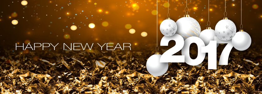 Year celebration pf 2017