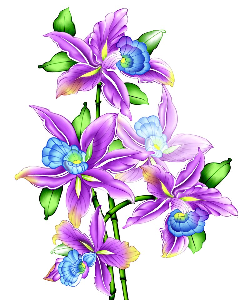 Vintage flowers watercolor flowers Free illustrations