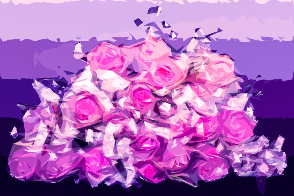 Romance purple pink