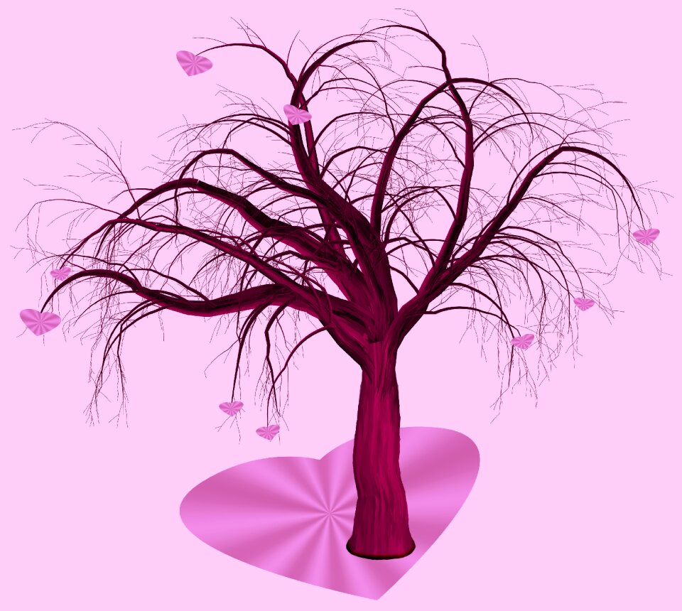 Valentine valentines day nature