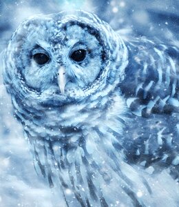 Nature art scrapbooking
