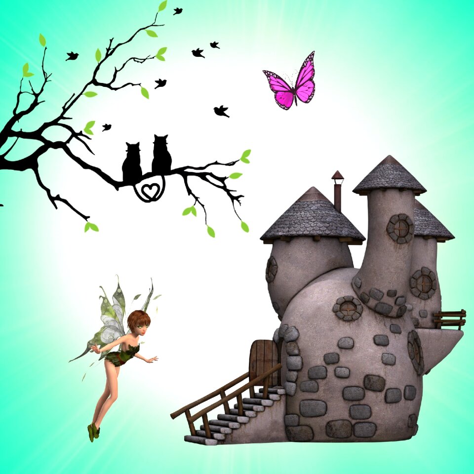 Track history fairy