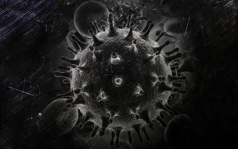 Disease health sickness