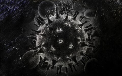 Disease health sickness