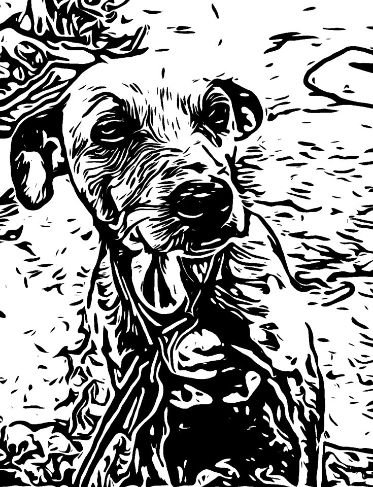 White dog Free illustrations