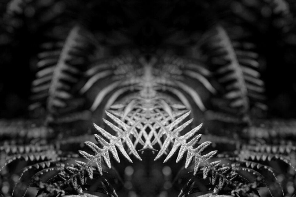 Dark surreal artistic