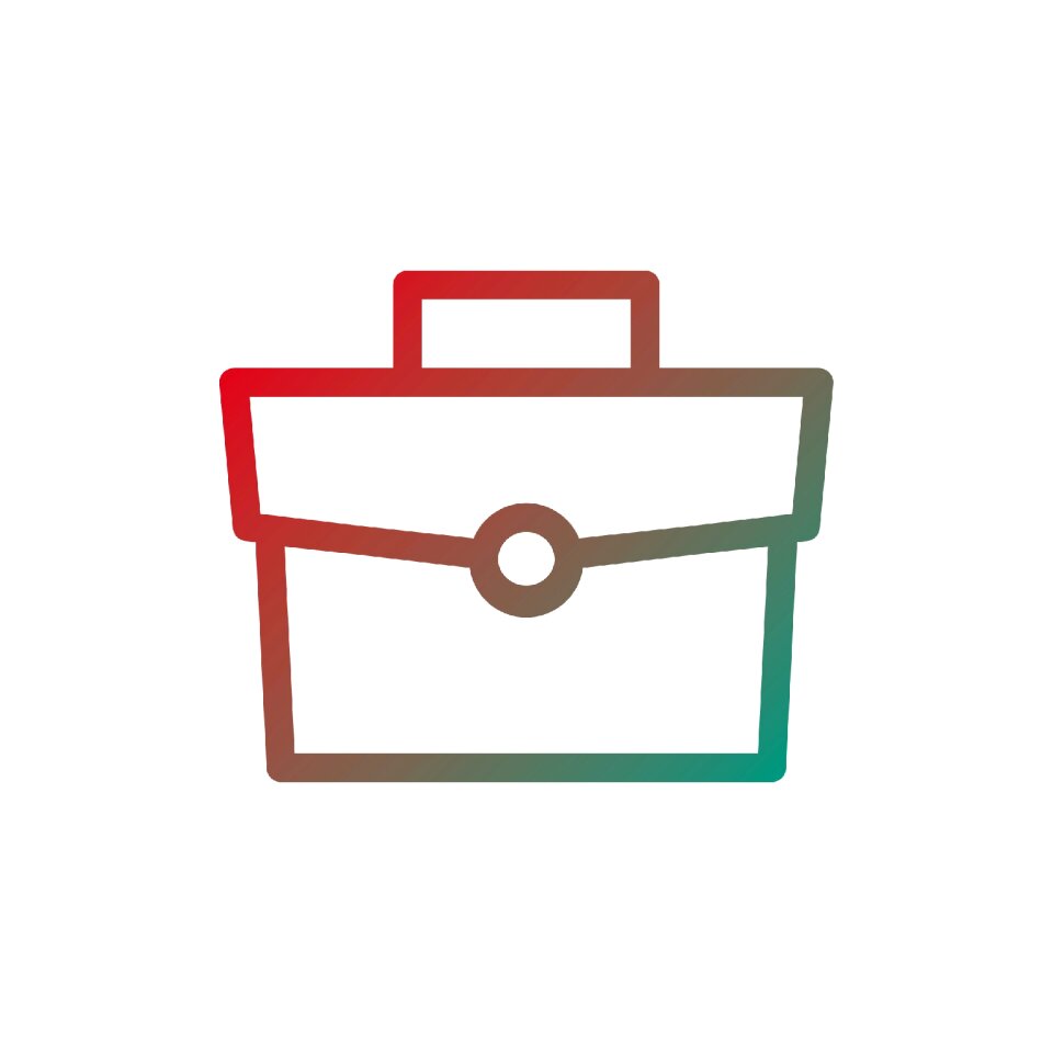 Business flat case