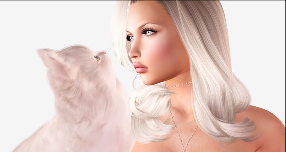 Sexy cat Free illustrations
