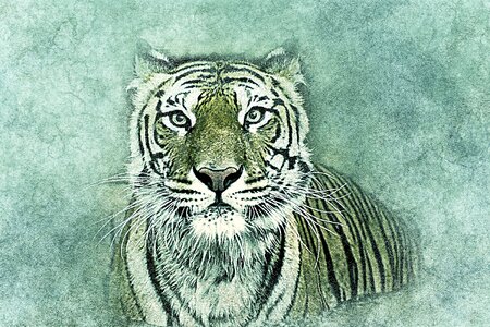 Abstract vintage animal