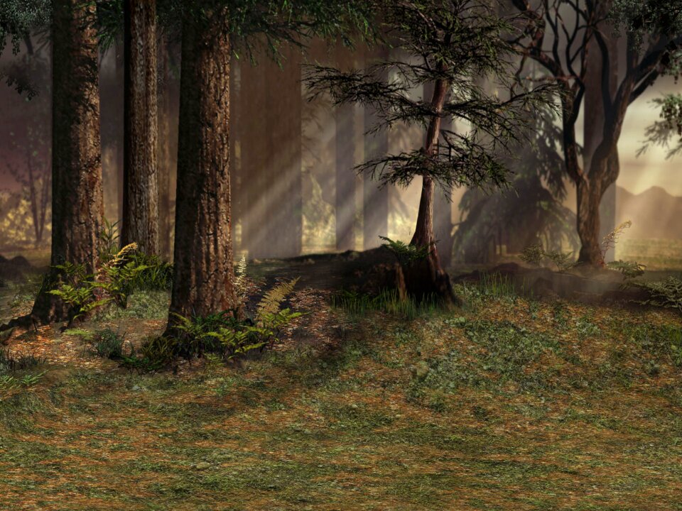Nature texture digital art