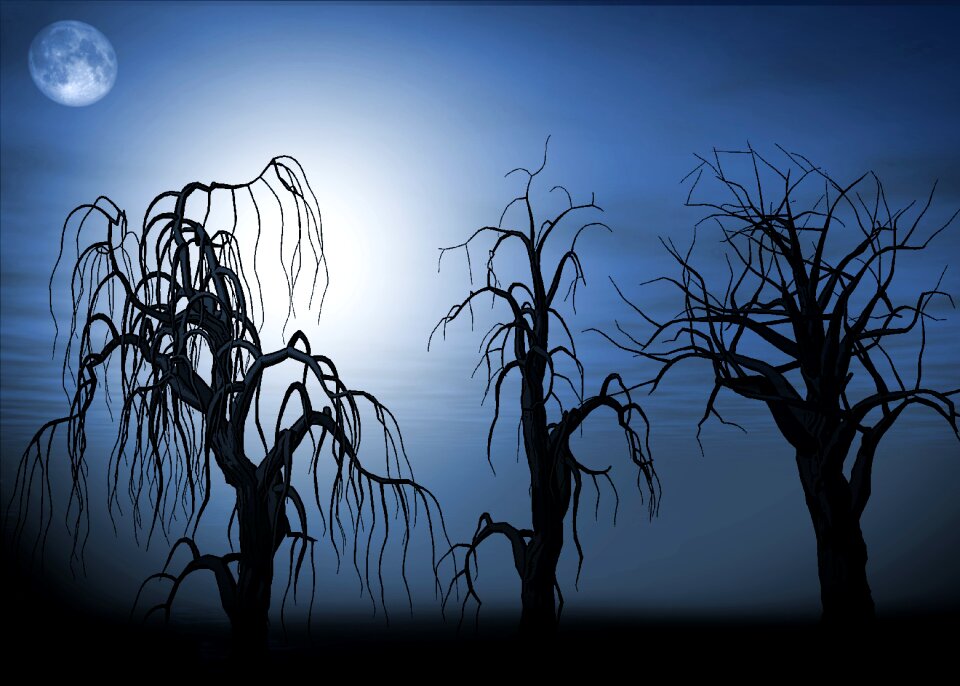 Full moon darkness sky