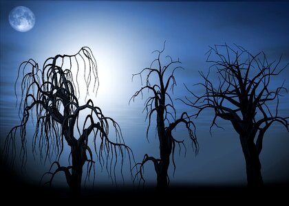 Full moon darkness sky
