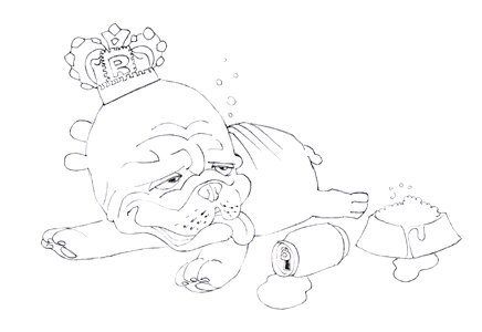 Puppy funny doggy