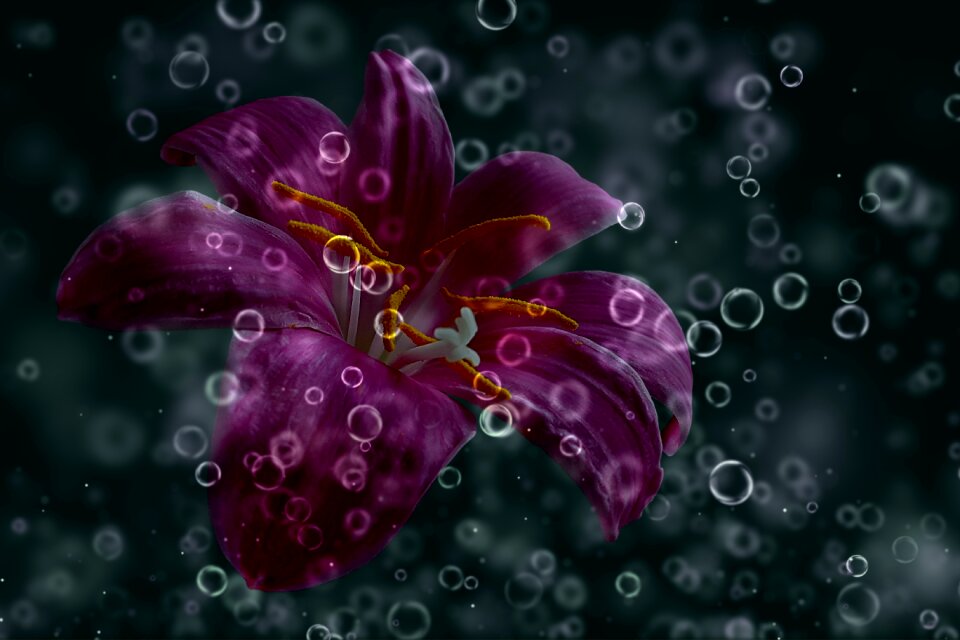 Drop of water overlay Free illustrations