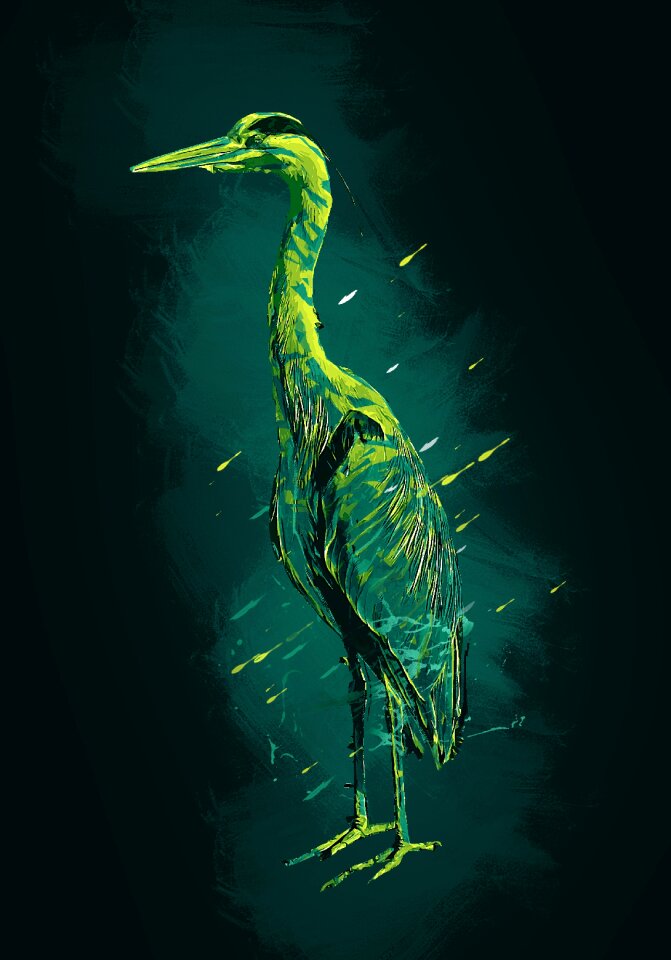Animal crane wild