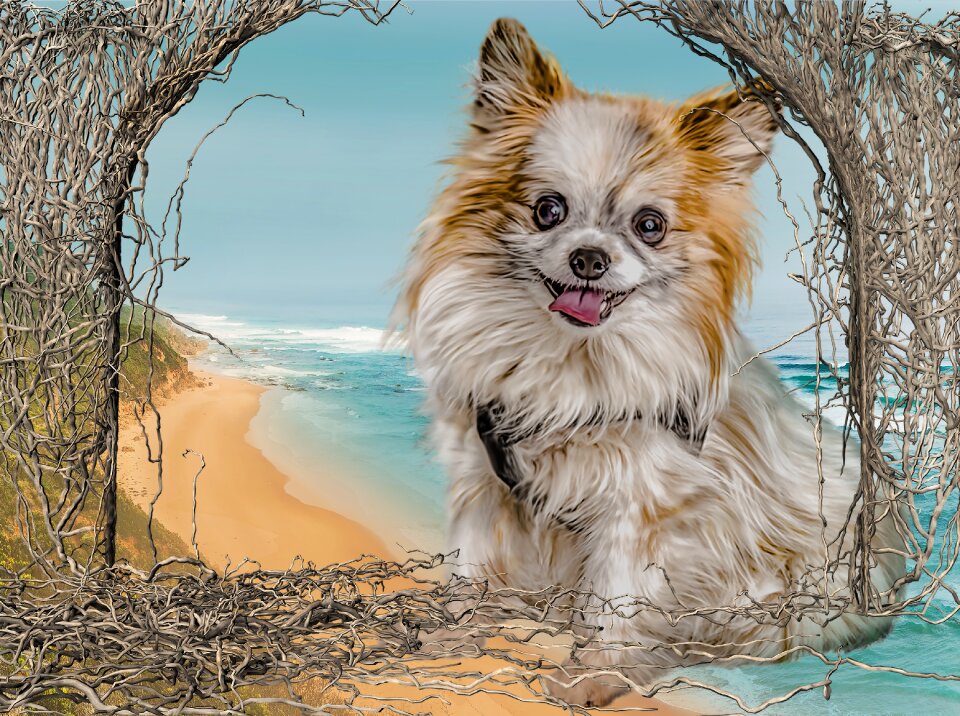 Dog chiuhuahua Free illustrations