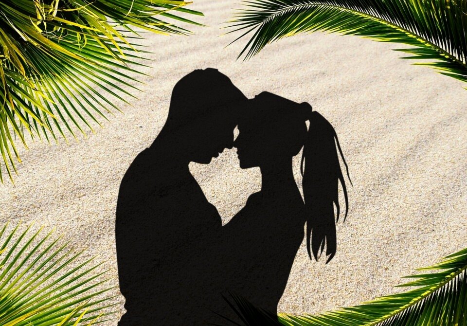 Silhouette shadows Free illustrations