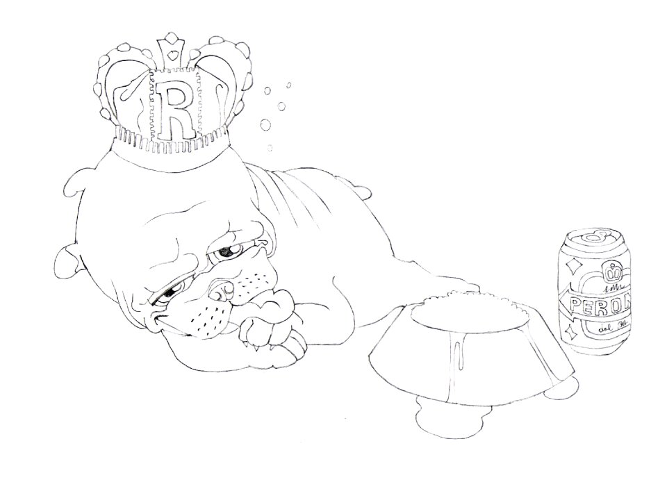 Pet sleeping sketch