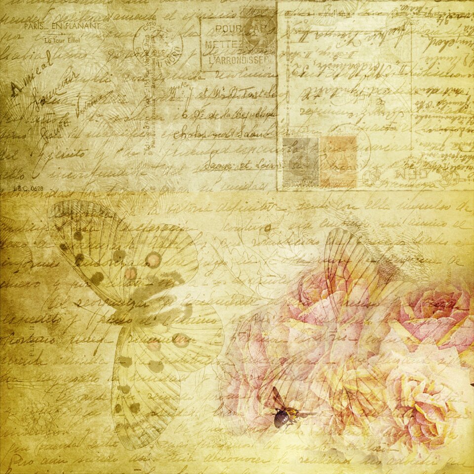 Letters butterfly texture background