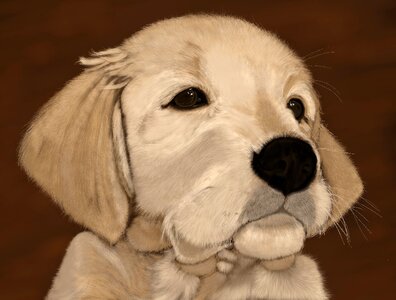Painting art animal