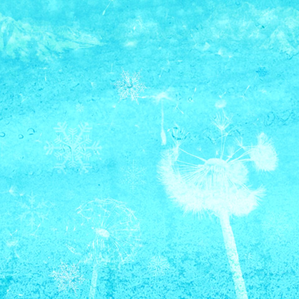 Snow frost cold