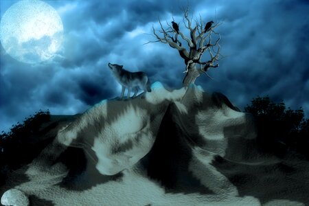 Howl full moon darkness