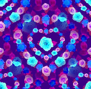 Romance rose bloom romantic