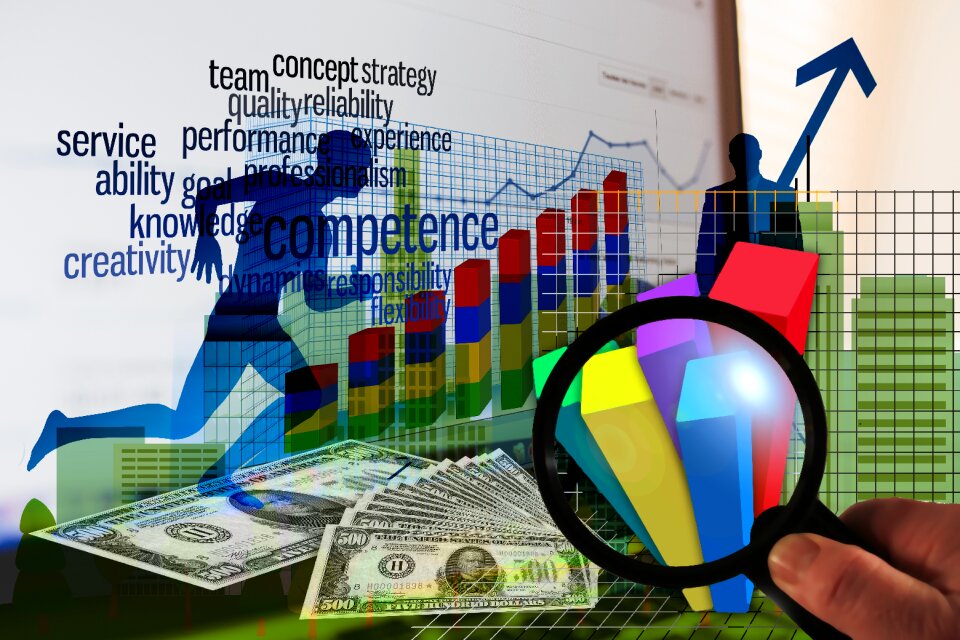 Profit competence experience