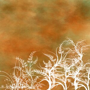 Scrapbook decorative page