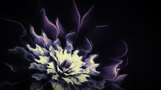 Floral blossom painting