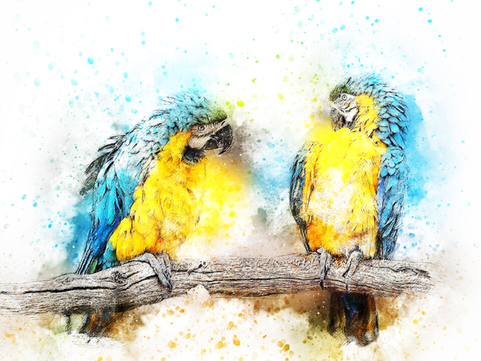 Animal art abstract