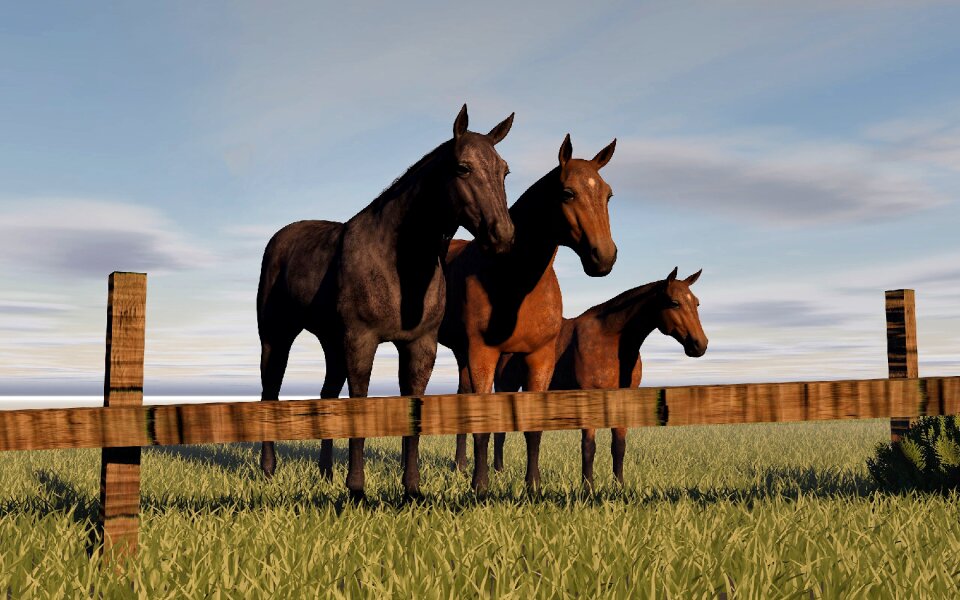 Meadow pasture horse head