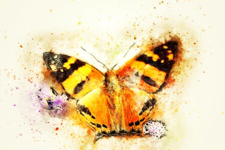 Art nature abstract