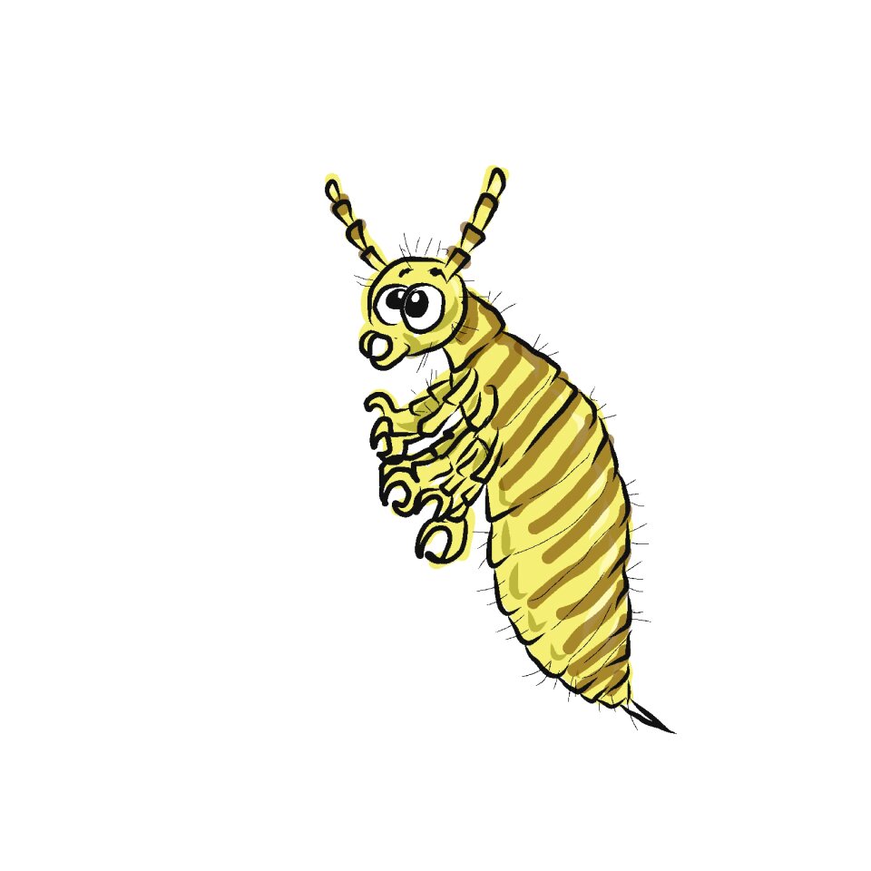 Insect parasite Free illustrations