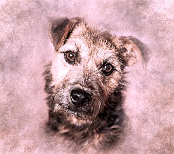 Art abstract vintage