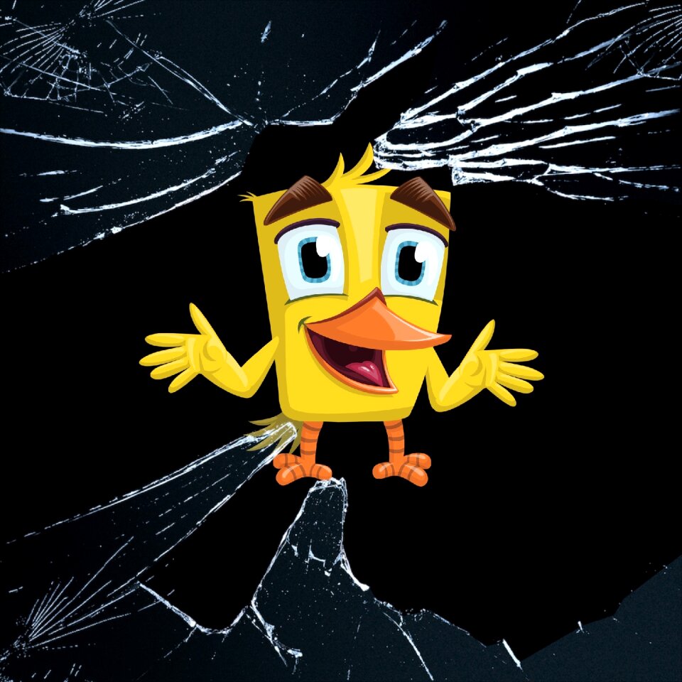 Chick funny bird speech